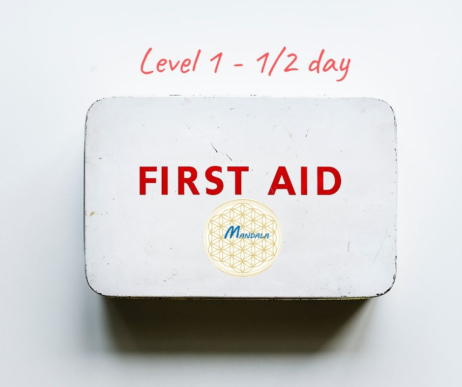 Level 1 - 1/2 day