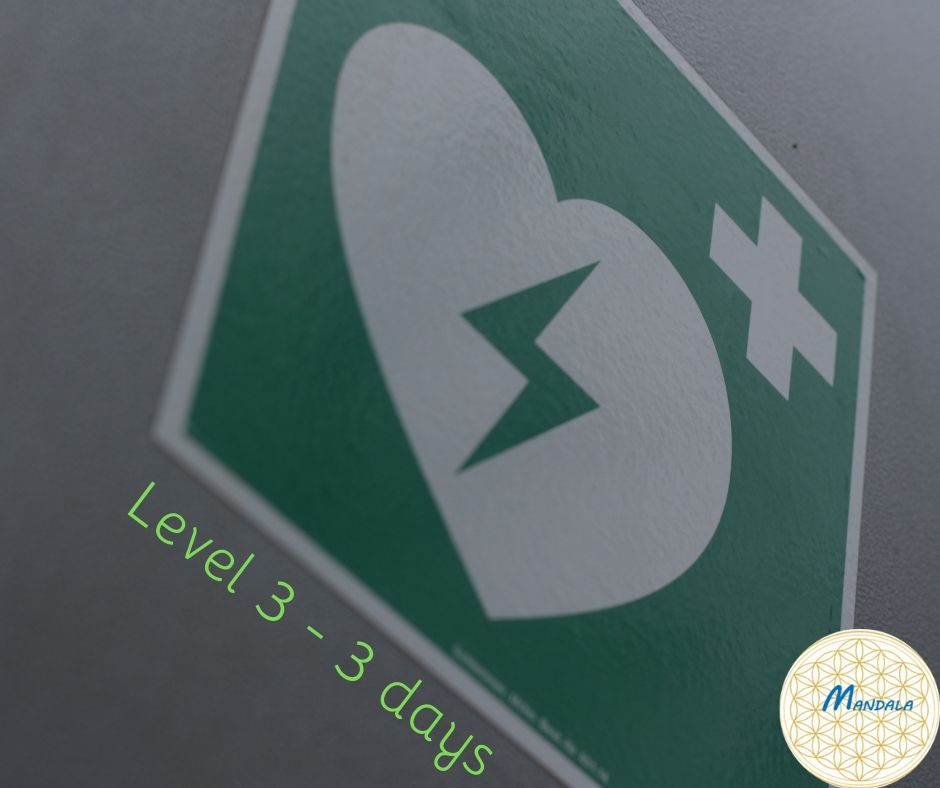 Level 3 - 3 days